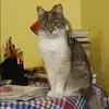 Отзыв от Оля Титова